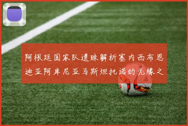 阿根廷国家队遗珠解析塞内西布恩迪亚阿库尼亚马斯坦托诺的无缘之路